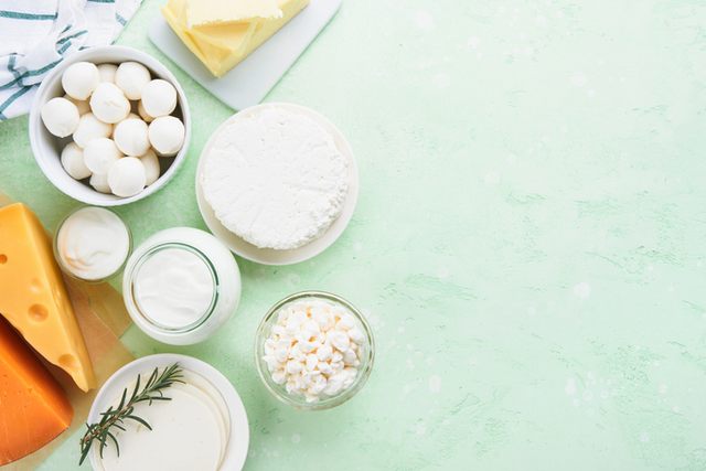 מוצרי חלב לשוק הסיטונאי והמוסדי