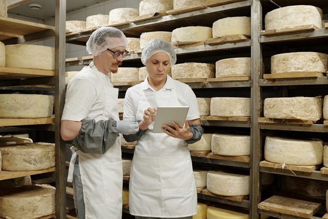 מזון חלבי בסיטונאות